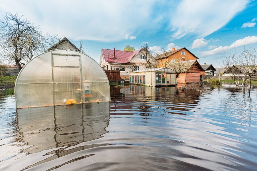 Vegetable Garden Beds In Water During Spring Flood floodwaters during natural disaster.